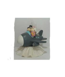 Alzatina sposi sull'aereo