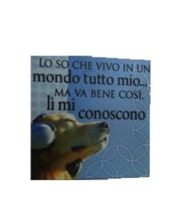 Calamita in tela cod.12