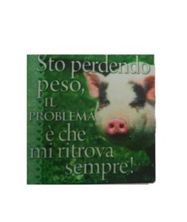 Calamita in tela cod.59