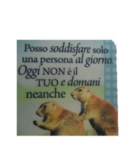 Calamita in tela cod.10