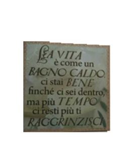 Calamita in tela cod.52