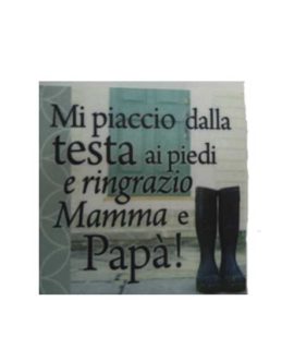 Calamita in tela cod.34