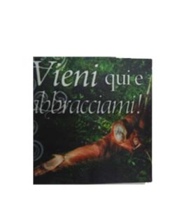 Calamita in tela cod.41