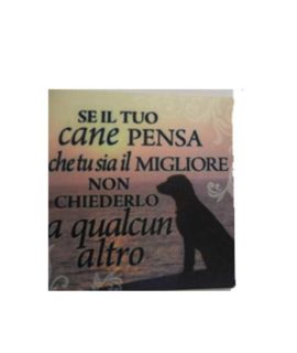 Calamita in tela cod.63