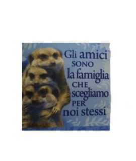 Calamita in tela cod.13