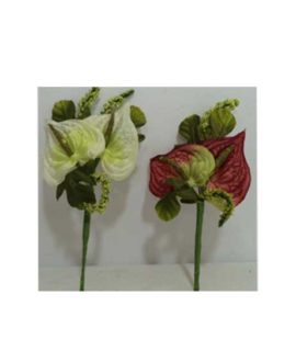 Mazzetto anthurium grande