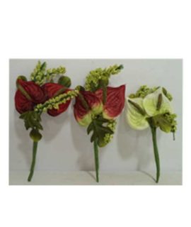 Mazzetto anthurium piccolo