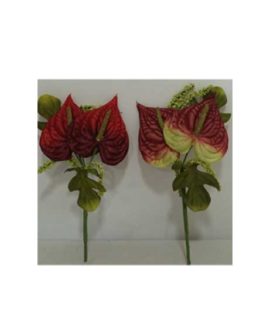 Mazzetto anthurium maxi