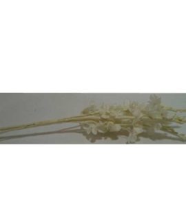 Stelo fiori bianchi