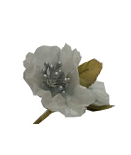 fiore-bianco2