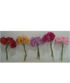 Mazzetto con pistilli