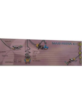 fucsia2