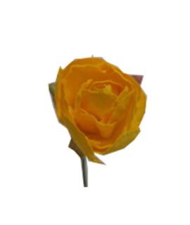 gialla