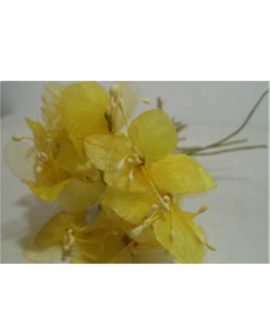Mazzetto fiori sfumati