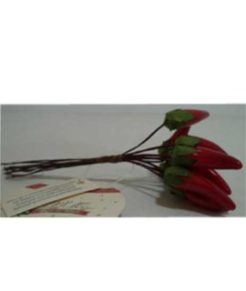 Mazzetto peperoncino