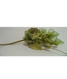 Composizione fiore con racchette