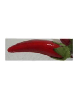 peperoncino2