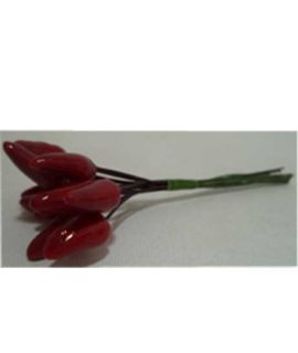 Mazzetto peperoncino mignon
