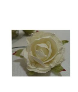 rosa-bianca2