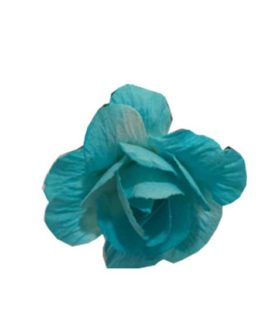 rosa-celeste