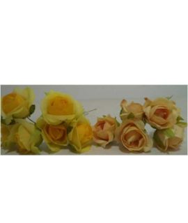 Rosa decorativa