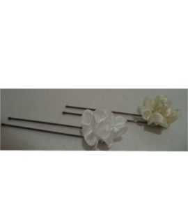 Forcina per capelli