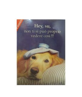 Biglietto GUARIGIONE