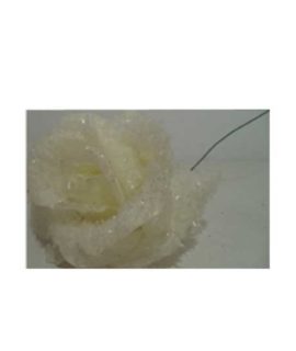 Rosa natalizia bianca brinata