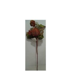 Pick BOCCIOLI