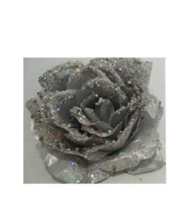 Rosa natalizia argentata