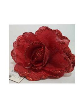 Rosa natalizia rossa