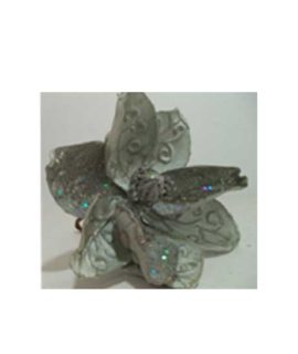 Rosa natalizia argentata