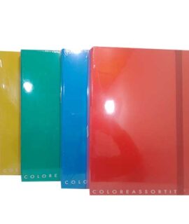 cartella-elastico