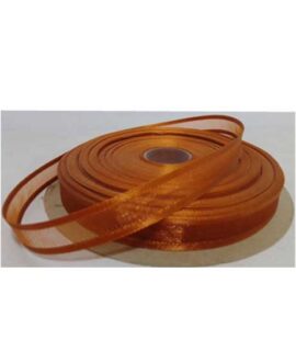 Nastro d'organza bordato