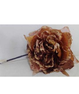 Rosa natalizia marrone