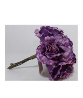 rose-viola