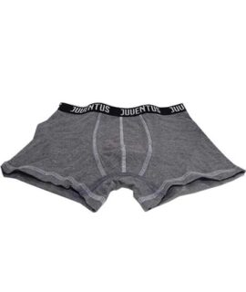boxer-grigio
