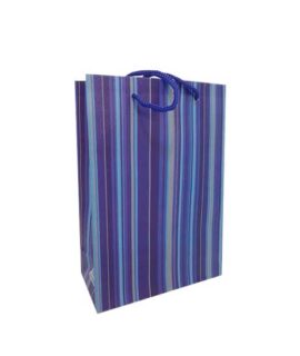 Busta regalo plastificata rigata