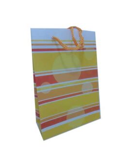 Busta regalo plastificata righe e pois