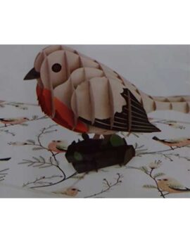 interno-uccello