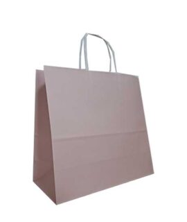 Busta regalo di carta monocolore