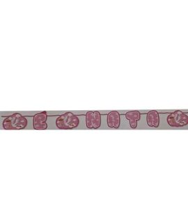 Festone nascita rosa con cicogna