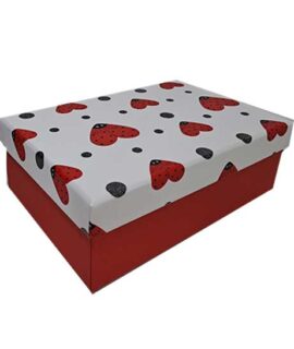 Scatola regalo con cuori coccinella