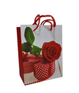 Busta regalo SAN VALENTINO con scatola a pois