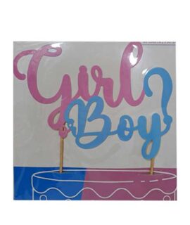 Topper GIRL BOY?