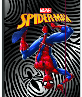 Cartella elastico SPIDER MAN
