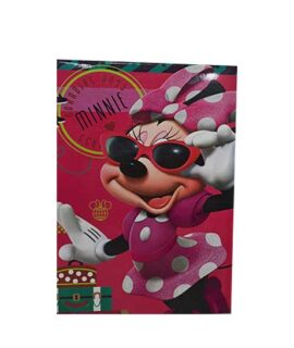 Diario scuola MINNIE