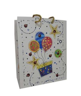 Busta regalo palloncini e coccinelle