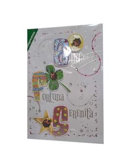 Biglietto compleanno quadrifoglio e coccinelle