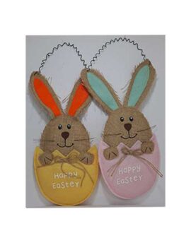 Pulcino dietroporta o portaovetti